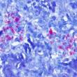 Détection de Mycobacterium bovis dans des poumons de souris 7 semaines après infection (Coloration de Ziehl modifiée, grossissement X 600). © INRAE, COCHARD Thierry